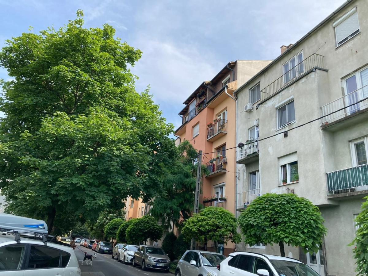 Carina Apartment 부다페스트 외부 사진